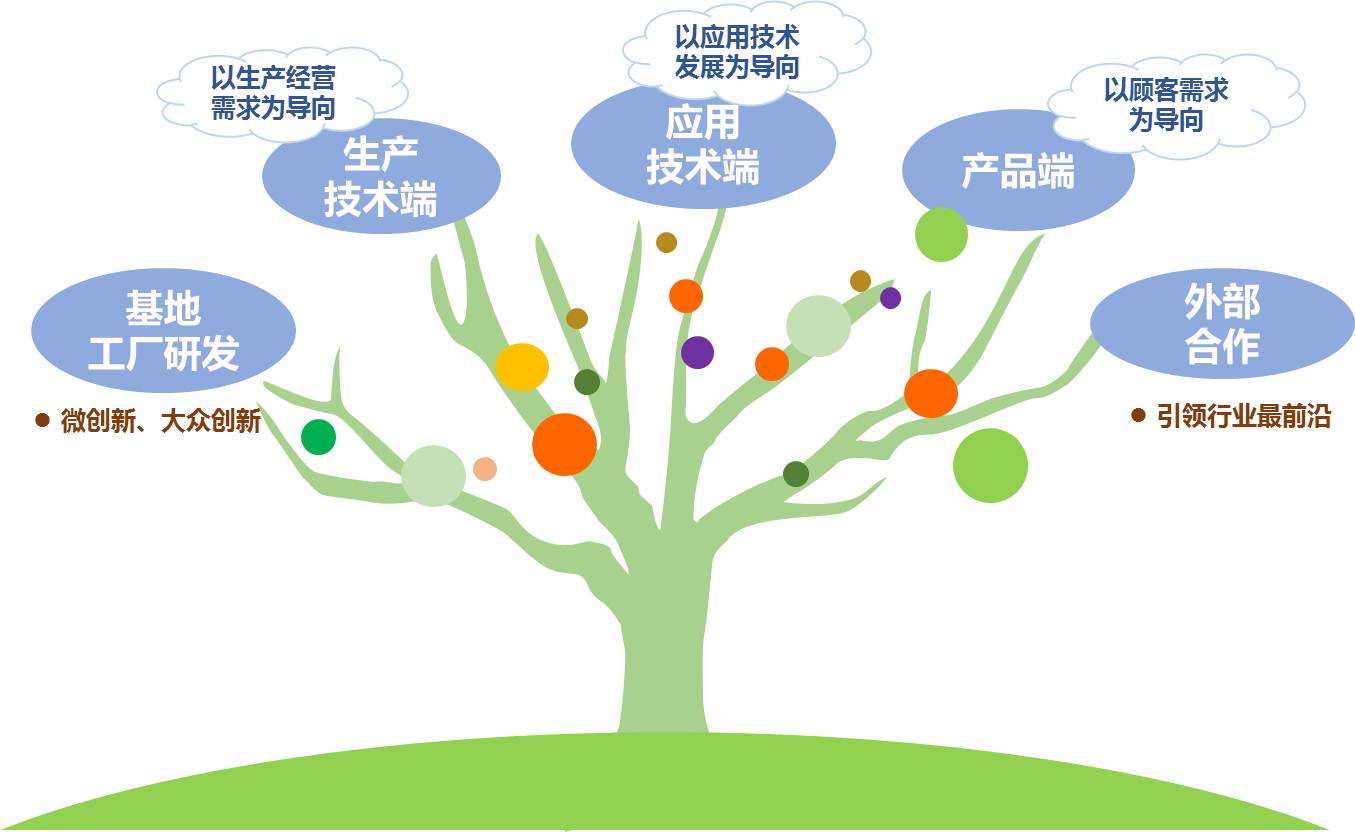 根基情况