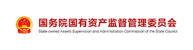 国务院国有资产监督治理委员会